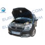 Chevrolet Aveo T255 '07+