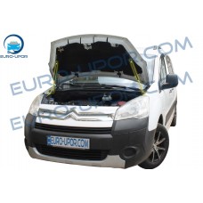 Citroen Berlingo 2 '08-18