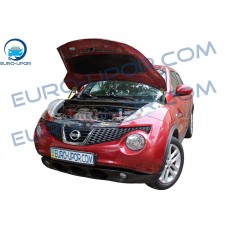 Nissan Juke '10-19