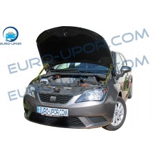 Seat Ibiza '08-17