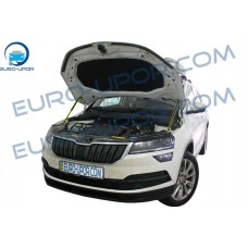 Skoda Karoq '17+