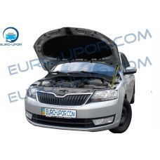 Skoda Rapid '13+